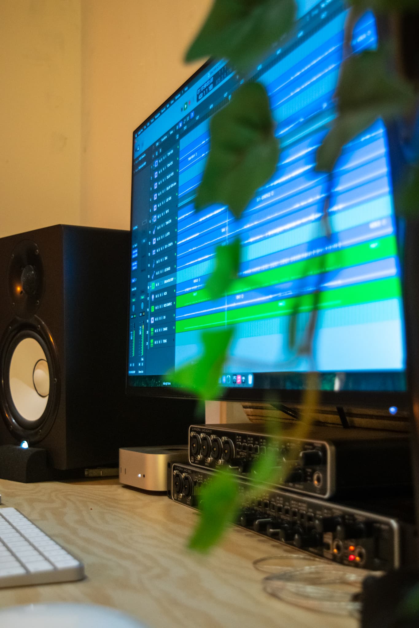 Studio monitor and DAW session
